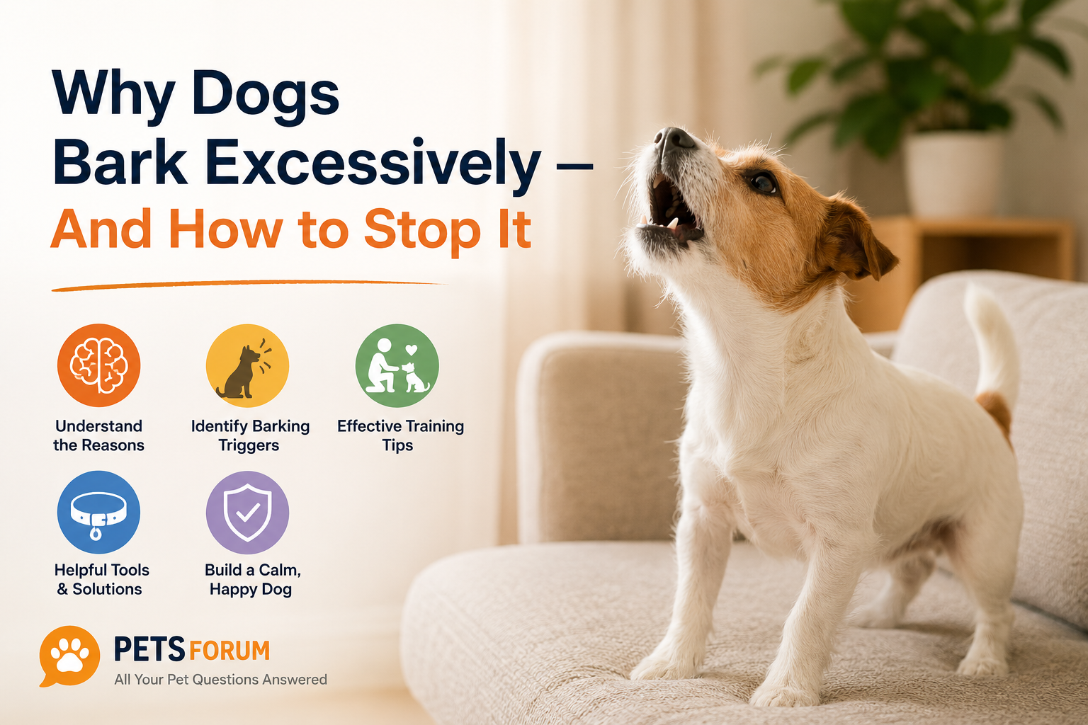 Why Dogs Bark Excessively — And How to Stop It