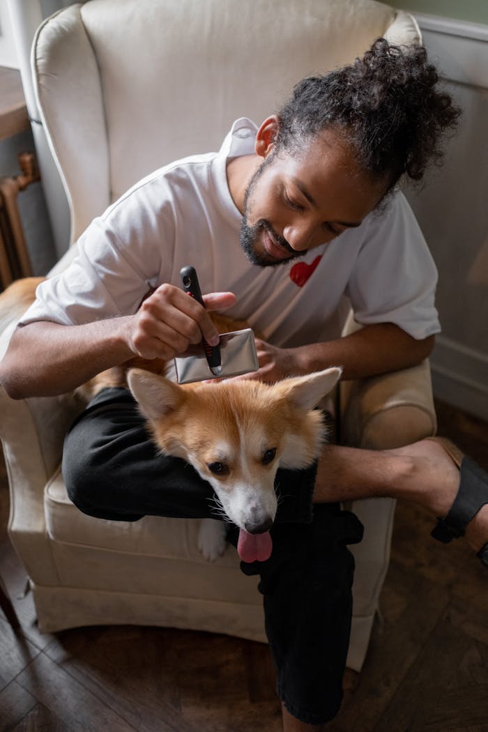 Man sitting in armchair grooming a corgi dog, indoors setting, showcasing self-care and pet love.